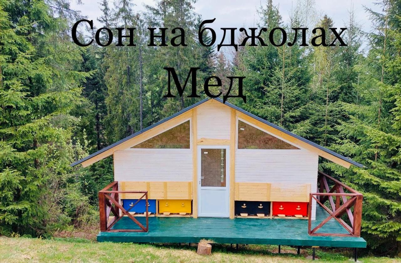 Danrock Διαμέρισμα Yablunytsya Εξωτερικό φωτογραφία
